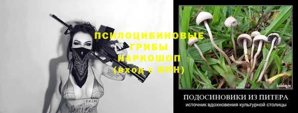 прущий лед Алексеевка
